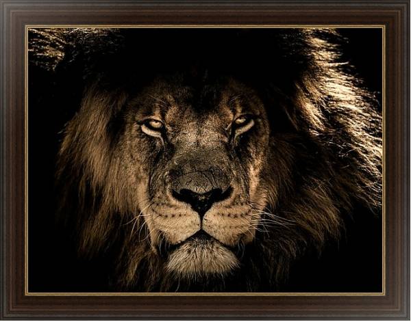 Постер Старый африканский лев с типом исполнения На холсте в раме в багетной раме 1.023.151