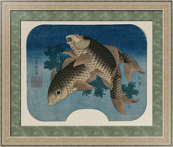 Постер Carp Swimming by Water Weeds с типом исполнения Акварель в раме в багетной раме 485.M40.584