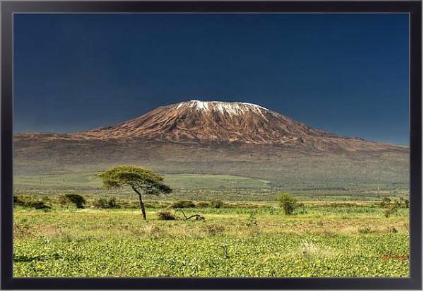 Постер Килиманджаро с типом исполнения На холсте в раме в багетной раме 221-01