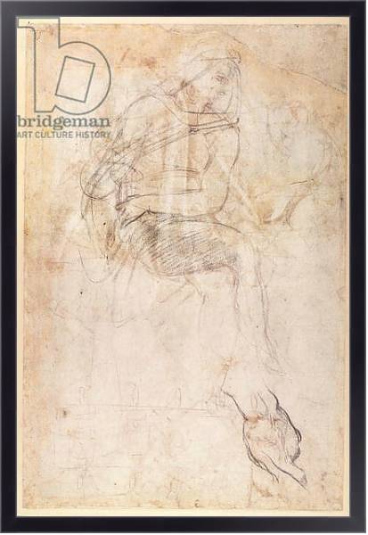Постер Study for the Ignudi above the Persian Sibyl in the Sistine Chapel, 1508-12 с типом исполнения На холсте в раме в багетной раме 221-01