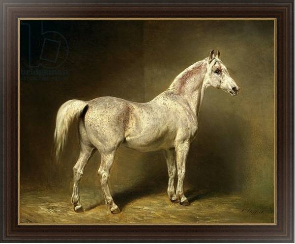 Постер 'Beatrice', the white arab saddlehorse of Helmuth Graf von Moltke, 1855 с типом исполнения На холсте в раме в багетной раме 1.023.151