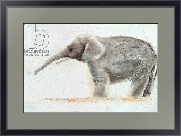 Постер Elephant с типом исполнения Под стеклом в багетной раме 221-01