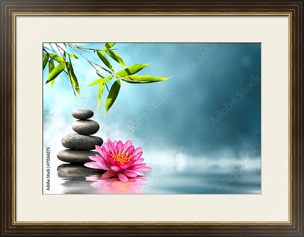 Постер Кувшинка. камни и бамбук с типом исполнения Под стеклом в багетной раме 1.023.036