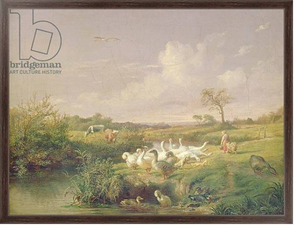 Постер Geese Grazing, 1854 с типом исполнения На холсте в раме в багетной раме 221-02