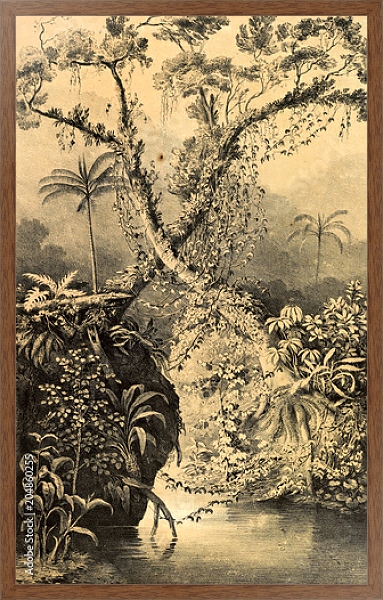 Постер Природа Южной Америки 8 с типом исполнения На холсте в раме в багетной раме 1727.4310