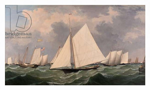 Постер New York Yacht Club Regatta, 1856 с типом исполнения На холсте в раме в багетной раме 221-03