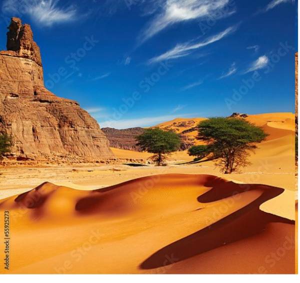 Постер Пустыня Сахара, Алжир с типом исполнения На холсте без рамы