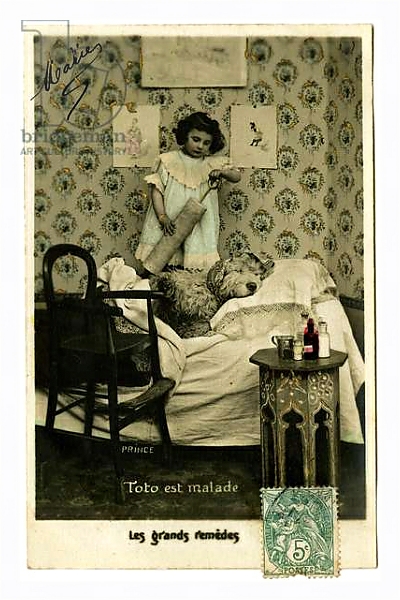 Постер Postcard: Toto is sick, great remedies, Prince с типом исполнения На холсте в раме в багетной раме 221-03