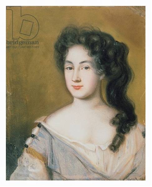 Постер Portrait of a Lady 2 с типом исполнения На холсте в раме в багетной раме 221-03