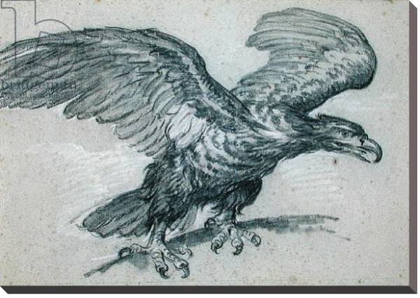Постер An Eagle, 1811 с типом исполнения На холсте без рамы
