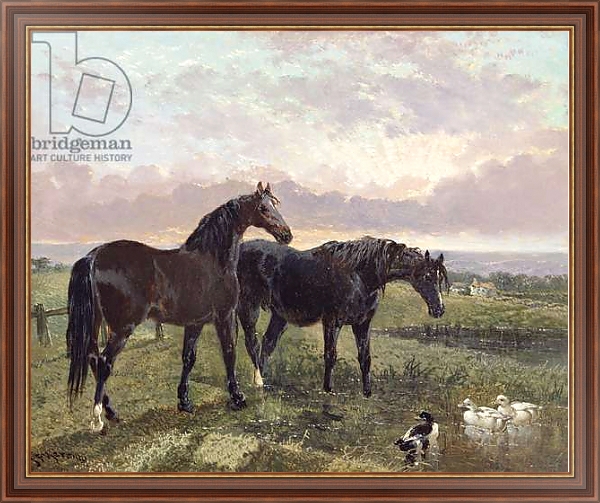 Постер Two horses grazing at sunset с типом исполнения На холсте в раме в багетной раме 35-M719P-83