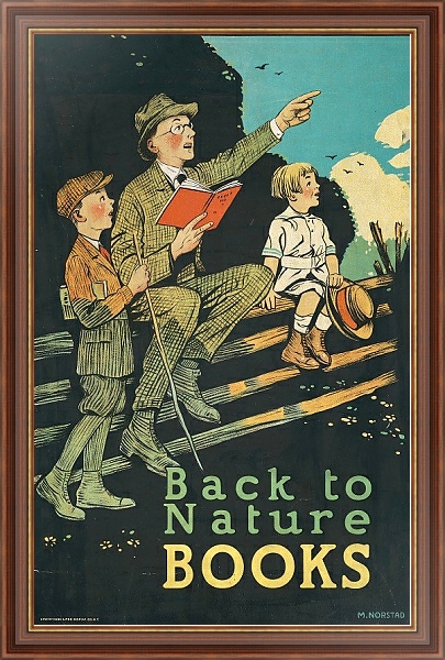 Постер Back to nature books с типом исполнения На холсте в раме в багетной раме 35-M719P-83