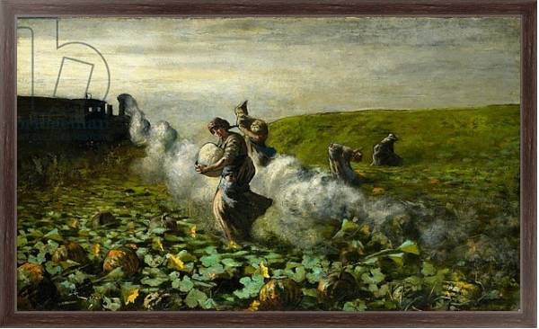 Постер The Pumpkin Harvest, 1897 с типом исполнения На холсте в раме в багетной раме 221-02