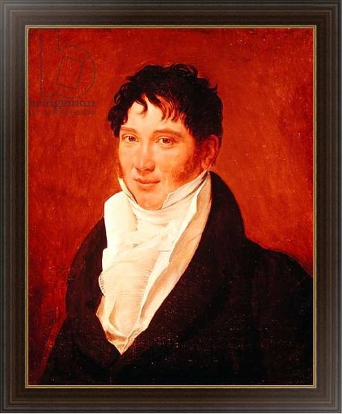 Постер Portrait of Antoine Jerome Balard с типом исполнения На холсте в раме в багетной раме 1.023.151