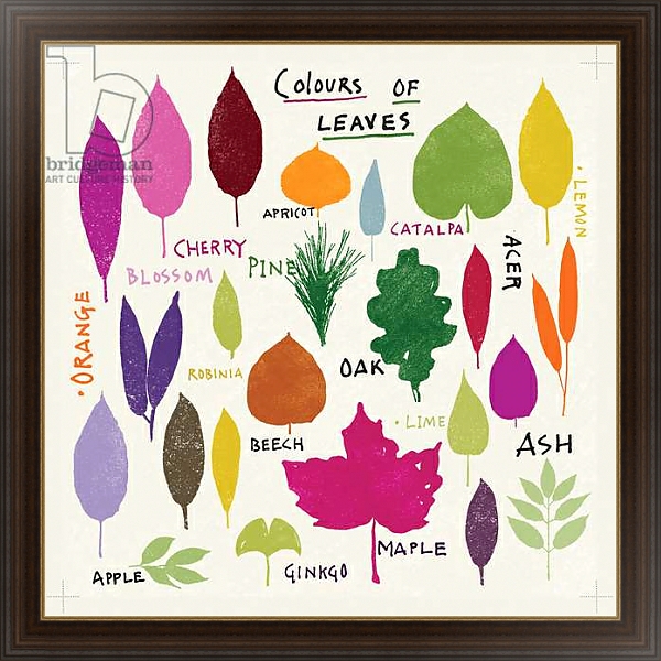 Постер Colours of Leaves с типом исполнения На холсте в раме в багетной раме 1.023.151
