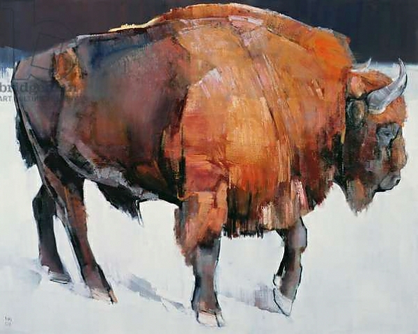 Постер European Bison с типом исполнения На холсте без рамы