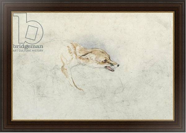 Постер Study of a crouching Fox, facing right verso: faint sketch of fox's head and tail с типом исполнения На холсте в раме в багетной раме 1.023.151