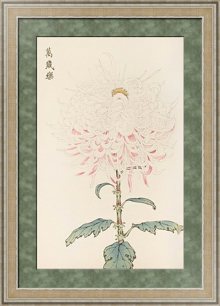 Постер Keika hyakugiku, Pl.38 с типом исполнения Акварель в раме в багетной раме 485.M40.584