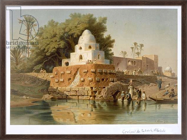 Постер Tomb of Sheikh Ababda in Minya, Middle Egypt, 1871 с типом исполнения На холсте в раме в багетной раме 221-02