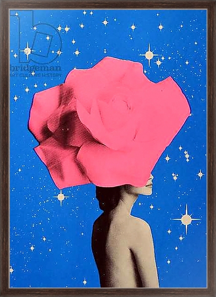 Постер The secret woman, 2017, с типом исполнения На холсте в раме в багетной раме 221-02