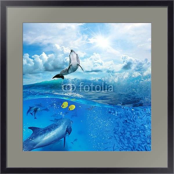 Постер Стая игривых дельфинов, плавающих под водой с типом исполнения Под стеклом в багетной раме 221-01