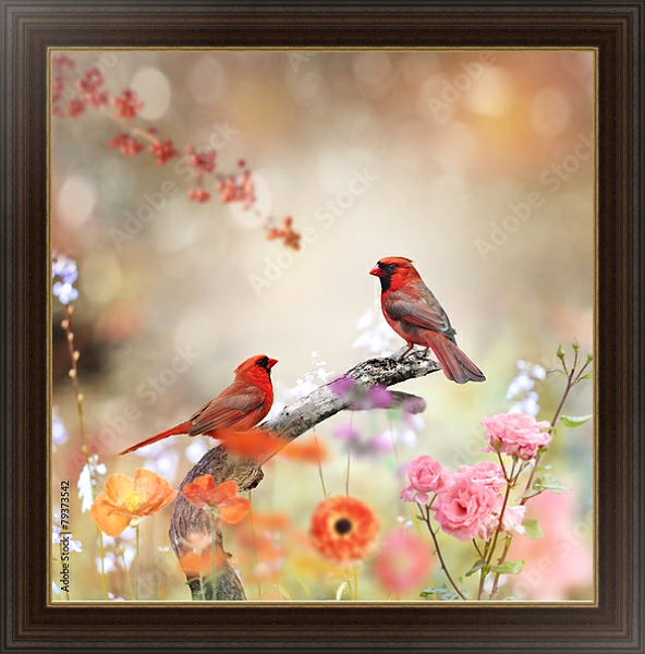 Постер Красные кардиналы на ветке в цветах с типом исполнения На холсте в раме в багетной раме 1.023.151