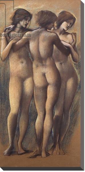 Постер The Three Graces, c.1885 с типом исполнения На холсте без рамы