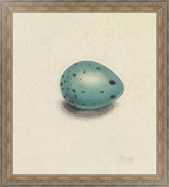 Постер A Bird’s Egg с типом исполнения На холсте в раме в багетной раме 484.M48.310