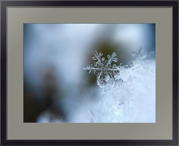 Постер Кристаллы снежинки с типом исполнения Под стеклом в багетной раме 221-01