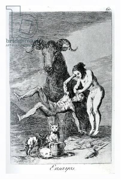 Постер Trials, plate 60 of 'Los caprichos', 1799 с типом исполнения На холсте в раме в багетной раме 221-03