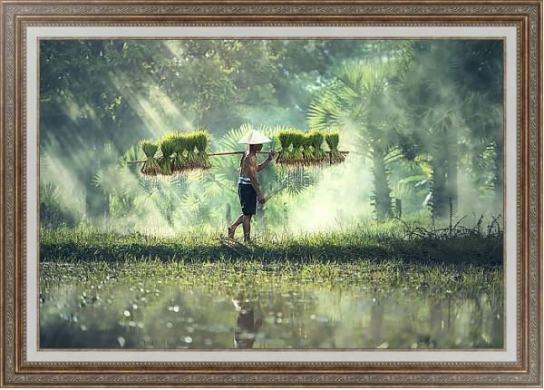 Постер Вьетнамский сборщик урожая с типом исполнения На холсте в раме в багетной раме 595.M52.330