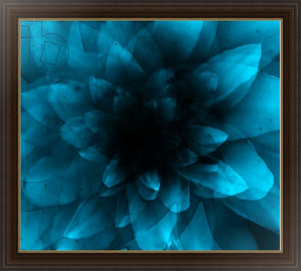 Постер flower blue с типом исполнения На холсте в раме в багетной раме 1.023.151