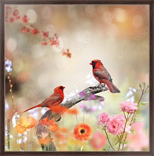 Постер Красные кардиналы на ветке в цветах с типом исполнения На холсте в раме в багетной раме 221-02