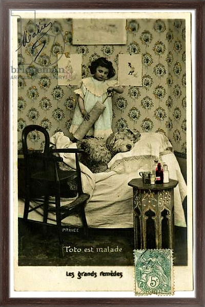 Постер Postcard: Toto is sick, great remedies, Prince с типом исполнения На холсте в раме в багетной раме 221-02