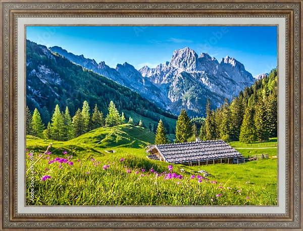 Постер Швейцария. Идиллический альпийский пейзаж с типом исполнения На холсте в раме в багетной раме 595.M52.330