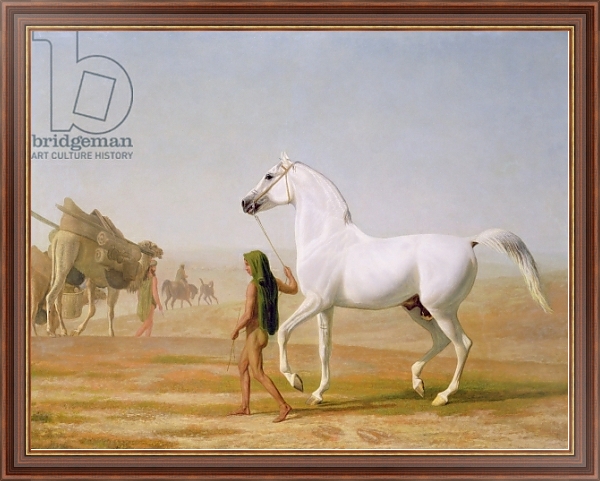 Постер The Wellesley Grey Arabian led through the Desert, c.1810 с типом исполнения На холсте в раме в багетной раме 35-M719P-83