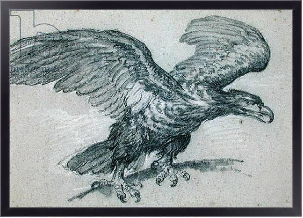 Постер An Eagle, 1811 с типом исполнения На холсте в раме в багетной раме 221-01