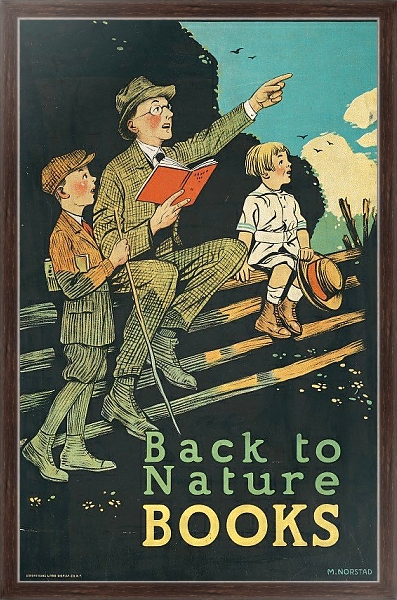 Постер Back to nature books с типом исполнения На холсте в раме в багетной раме 221-02