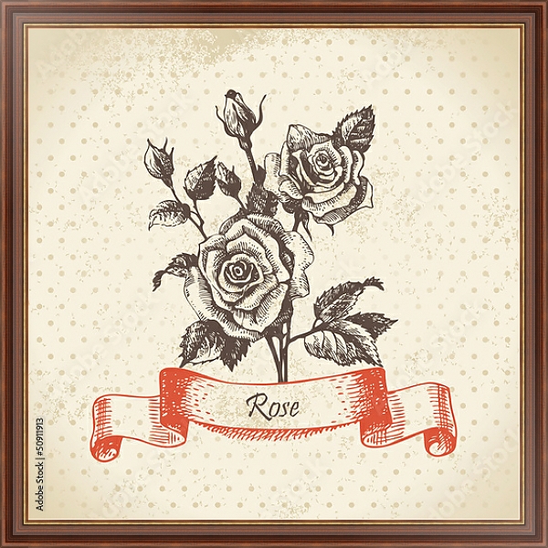 Постер Иллюстрация с розами с типом исполнения На холсте в раме в багетной раме 35-M719P-83