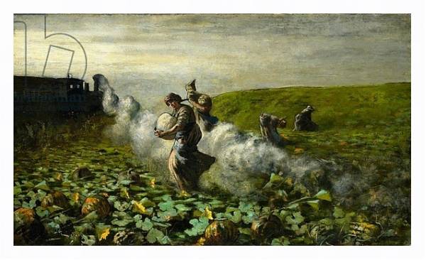 Постер The Pumpkin Harvest, 1897 с типом исполнения На холсте в раме в багетной раме 221-03