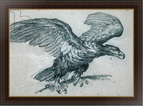 Постер An Eagle, 1811 с типом исполнения На холсте в раме в багетной раме 1.023.151