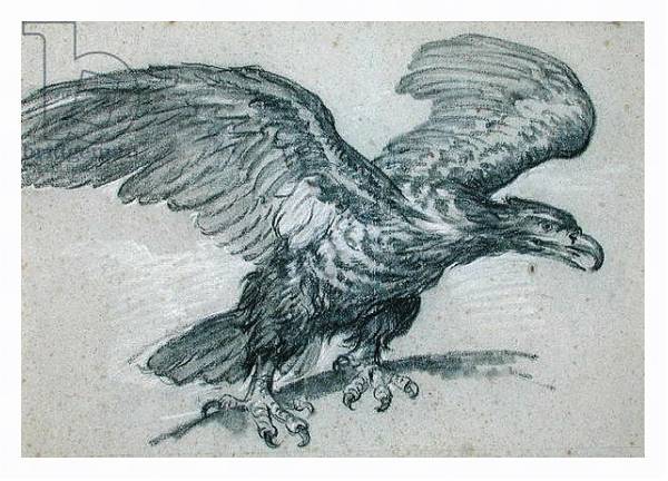 Постер An Eagle, 1811 с типом исполнения На холсте в раме в багетной раме 221-03