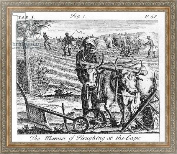 Постер The Manner of Ploughing at the Cape, an illustration 1731 с типом исполнения На холсте в раме в багетной раме 484.M48.310