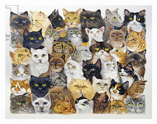 Постер Just the Cat's Whisker с типом исполнения На холсте в раме в багетной раме 221-03