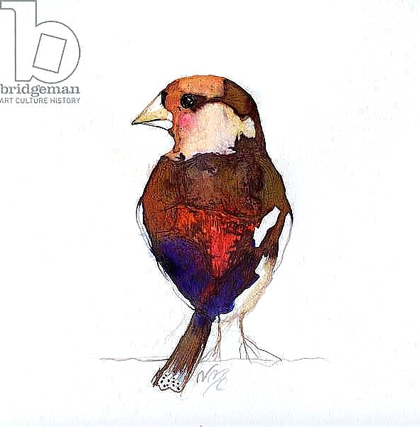 Постер Blushing Hawfinch, 2017, с типом исполнения На холсте без рамы