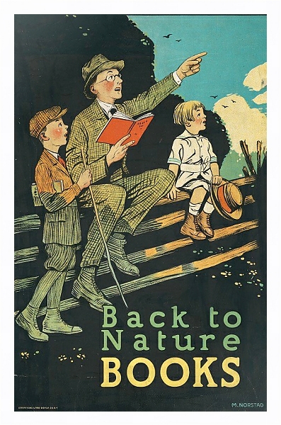 Постер Back to nature books с типом исполнения На холсте в раме в багетной раме 221-03