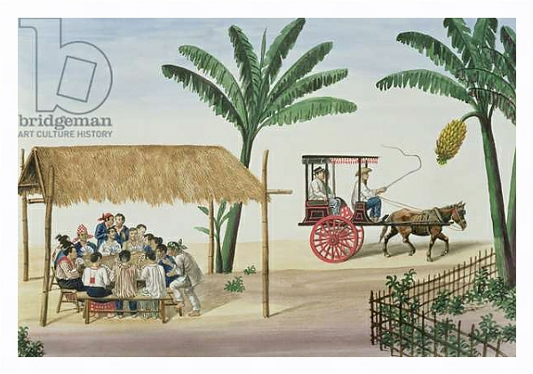 Постер A Game of Panguingui, from 'The Flebus Album of Views In and Around Manila', c.1845 с типом исполнения На холсте в раме в багетной раме 221-03
