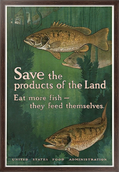 Постер Save the products of the land. Eat more fish — they feed themselves с типом исполнения На холсте в раме в багетной раме 221-02