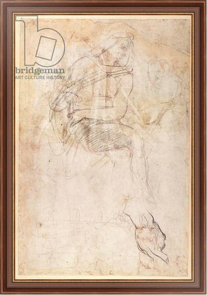 Постер Study for the Ignudi above the Persian Sibyl in the Sistine Chapel, 1508-12 с типом исполнения На холсте в раме в багетной раме 35-M719P-83