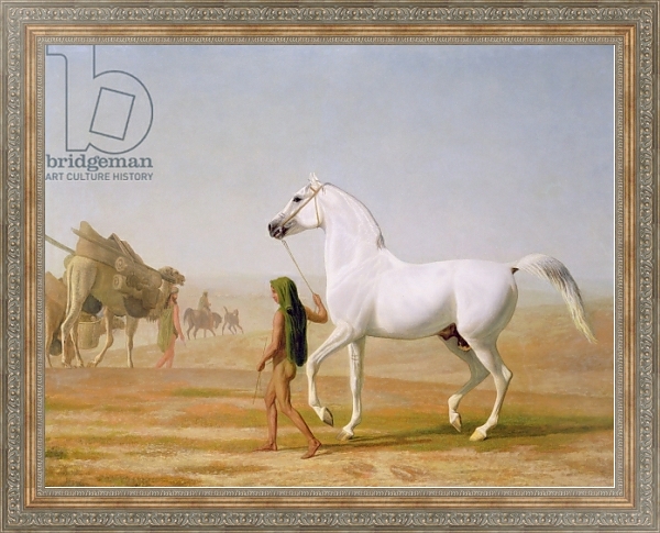 Постер The Wellesley Grey Arabian led through the Desert, c.1810 с типом исполнения На холсте в раме в багетной раме 484.M48.310